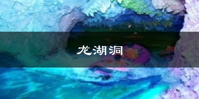 龙湖洞今日天气