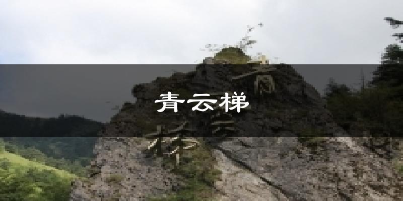 青云梯天气预报十五天