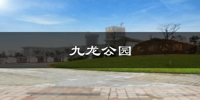 九龙公园天气预报十五天