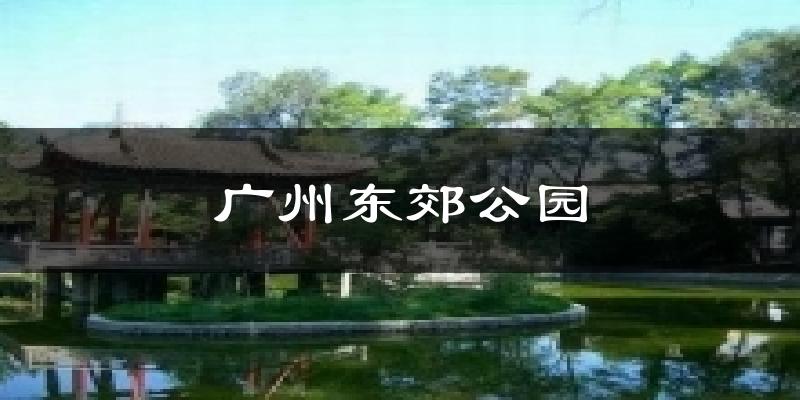 广州东郊公园今日天气