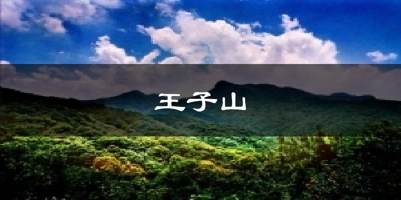 王子山今日天气