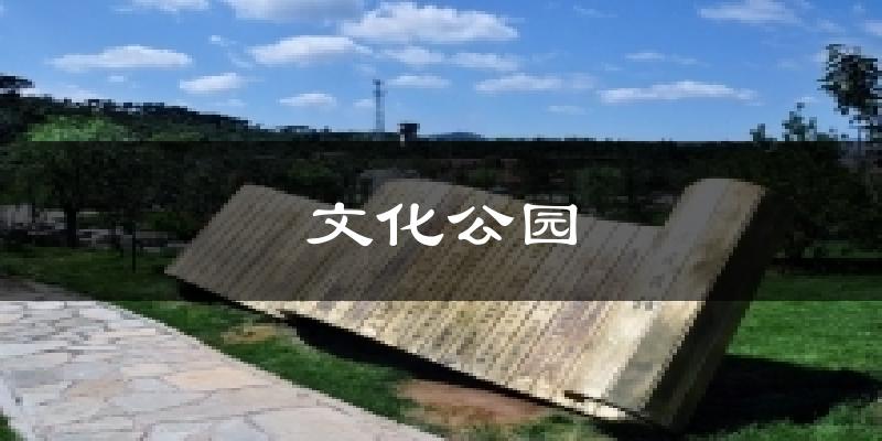 文化公园今日天气
