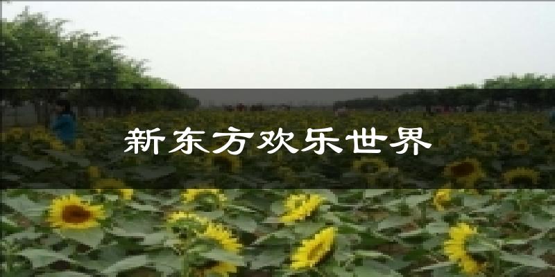 新东方欢乐世界今日天气