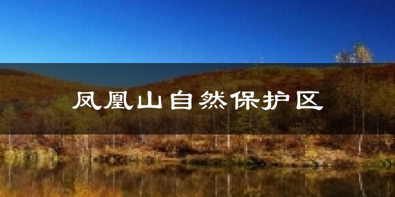 凤凰山自然保护区今日天气
