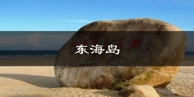 东海岛今日天气