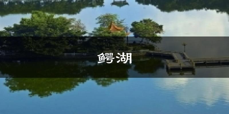 河源鳄湖天气预报未来一周