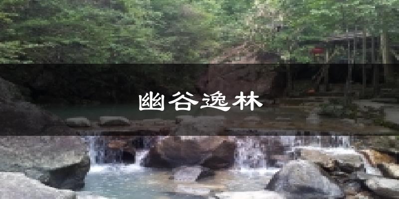 幽谷逸林气温