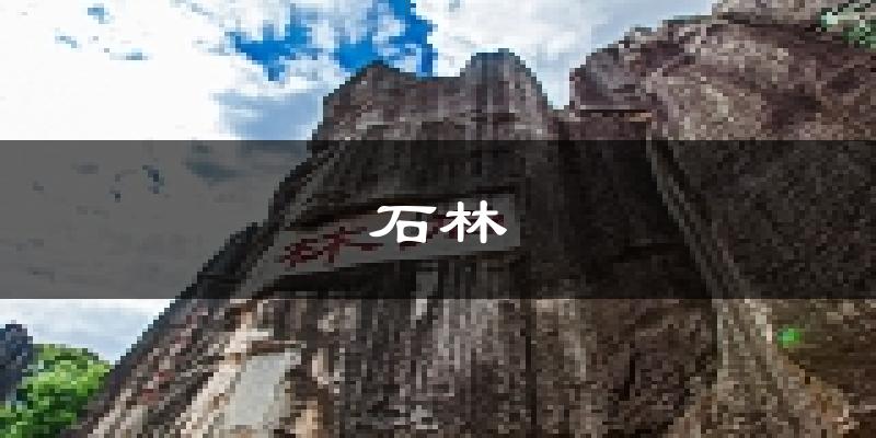 石林天气预报未来一周