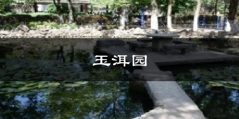 玉洱园今日天气