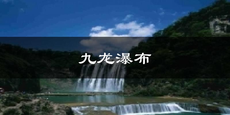 九龙瀑布今日天气