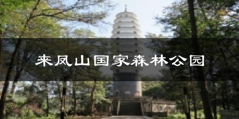 腾冲来凤山国家森林公园天气预报未来一周
