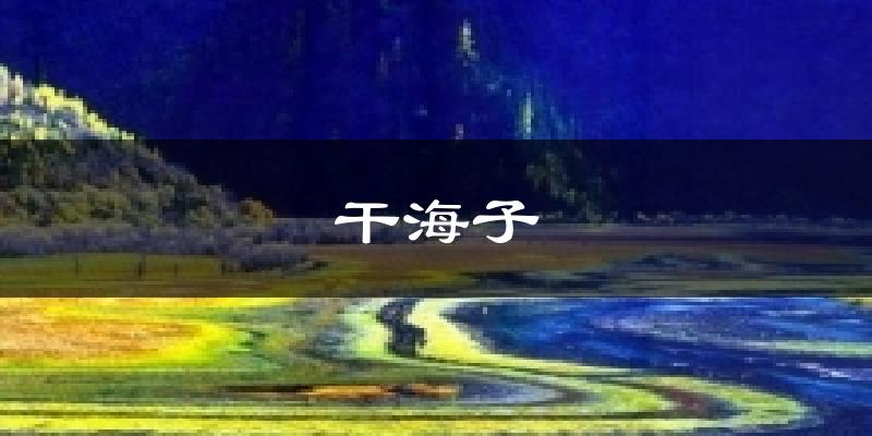 干海子气温