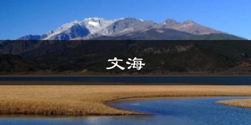 文海天气预报十五天