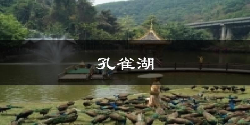 孔雀湖今日天气