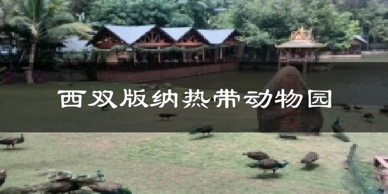 西双版纳热带动物园今日天气