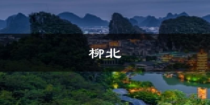 柳州柳北天气预报未来一周