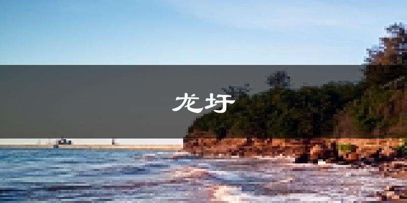 梧州龙圩天气预报未来一周