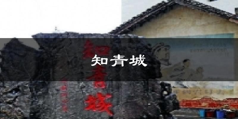 知青城气温