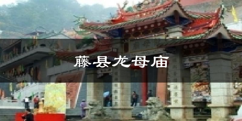 藤县龙母庙气温
