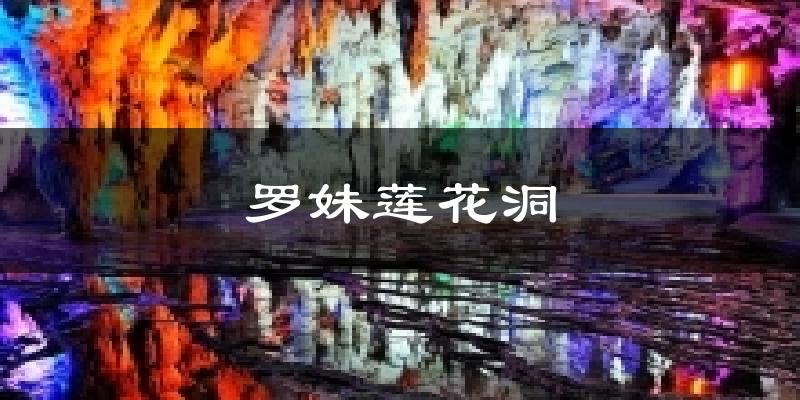 罗妹莲花洞今日天气