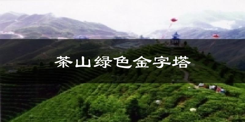 茶山绿色金字塔气温