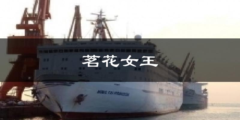 茗花女王今日天气