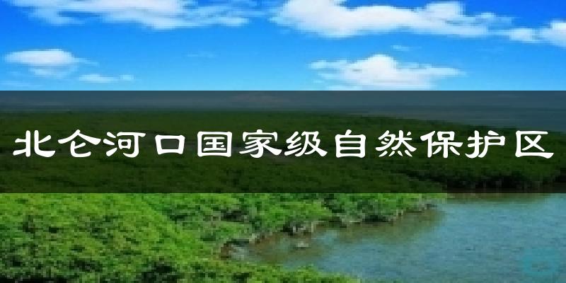 北仑河口国家级自然保护区今日天气