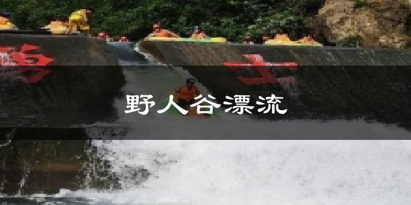 野人谷漂流今日天气