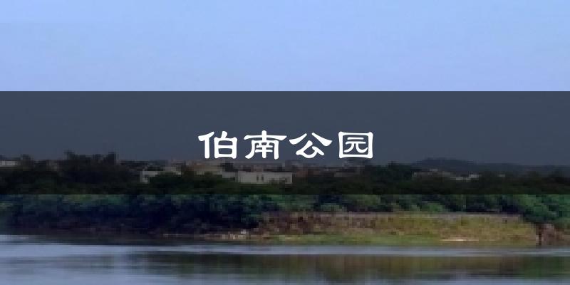 伯南公园今日天气