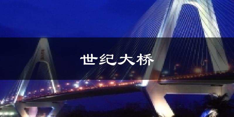 世纪大桥今日天气