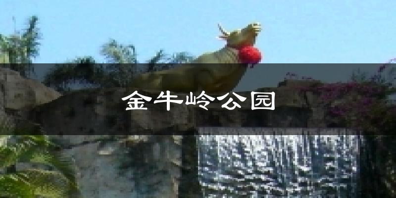 金牛岭公园今日天气
