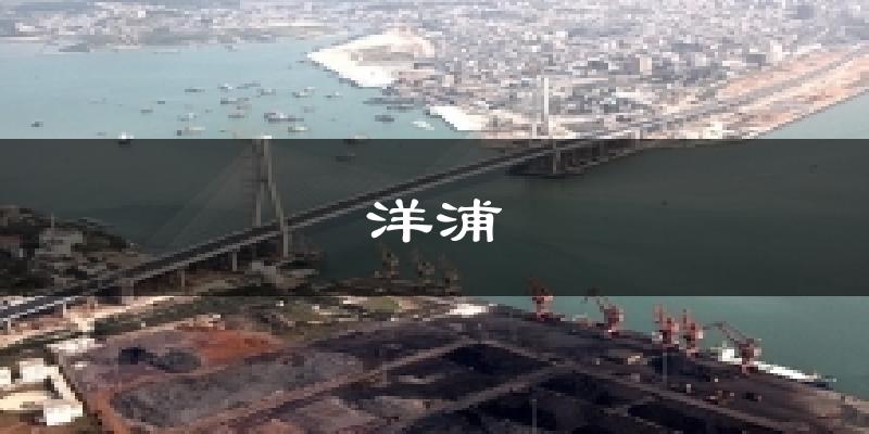 洋浦气温