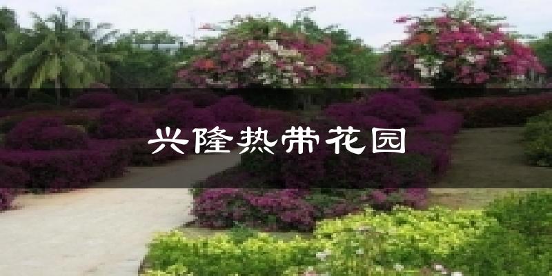 兴隆热带花园气温
