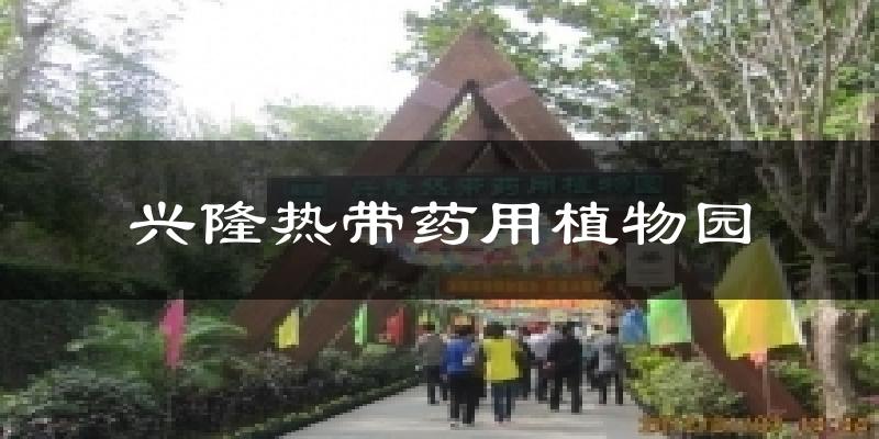 兴隆热带药用植物园气温