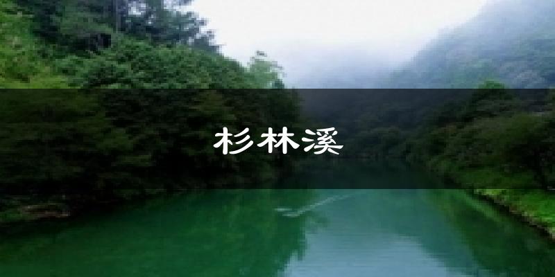 杉林溪今日天气